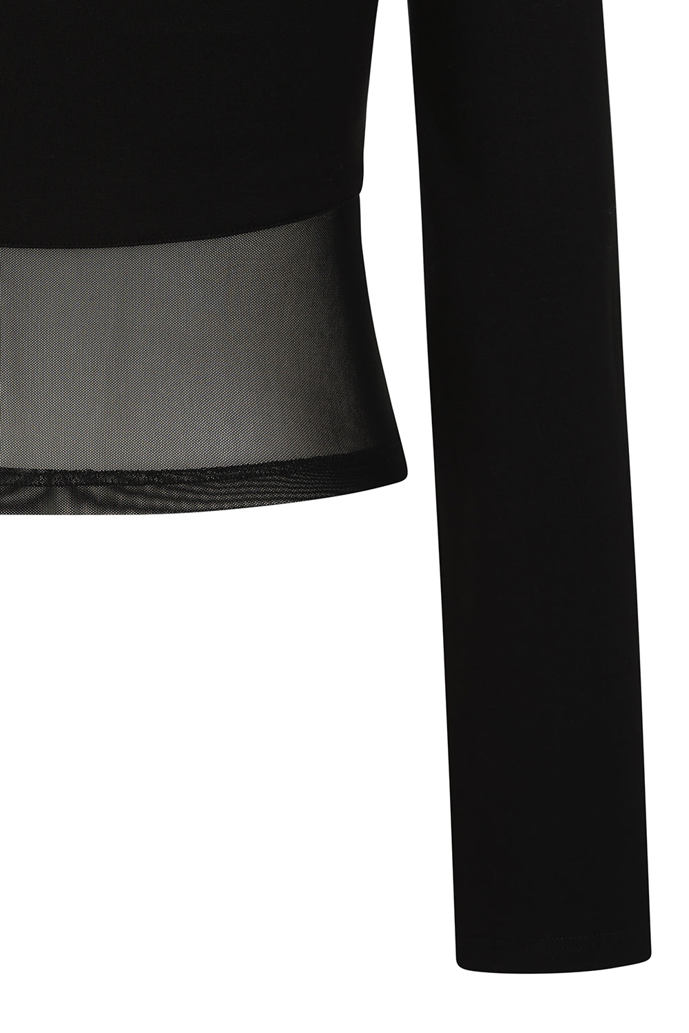 Banned Cordelia Sheer Mesh Panel Goth Top in Black