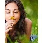 11ml Temple Balm Roll On -  – Unlock Instant Clarity, Focus & Refreshment