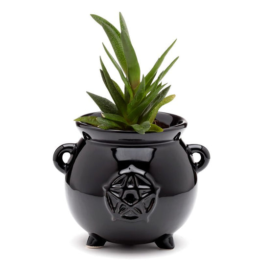Gothic Gifts Cauldron Shaped Indoor Plant Pot