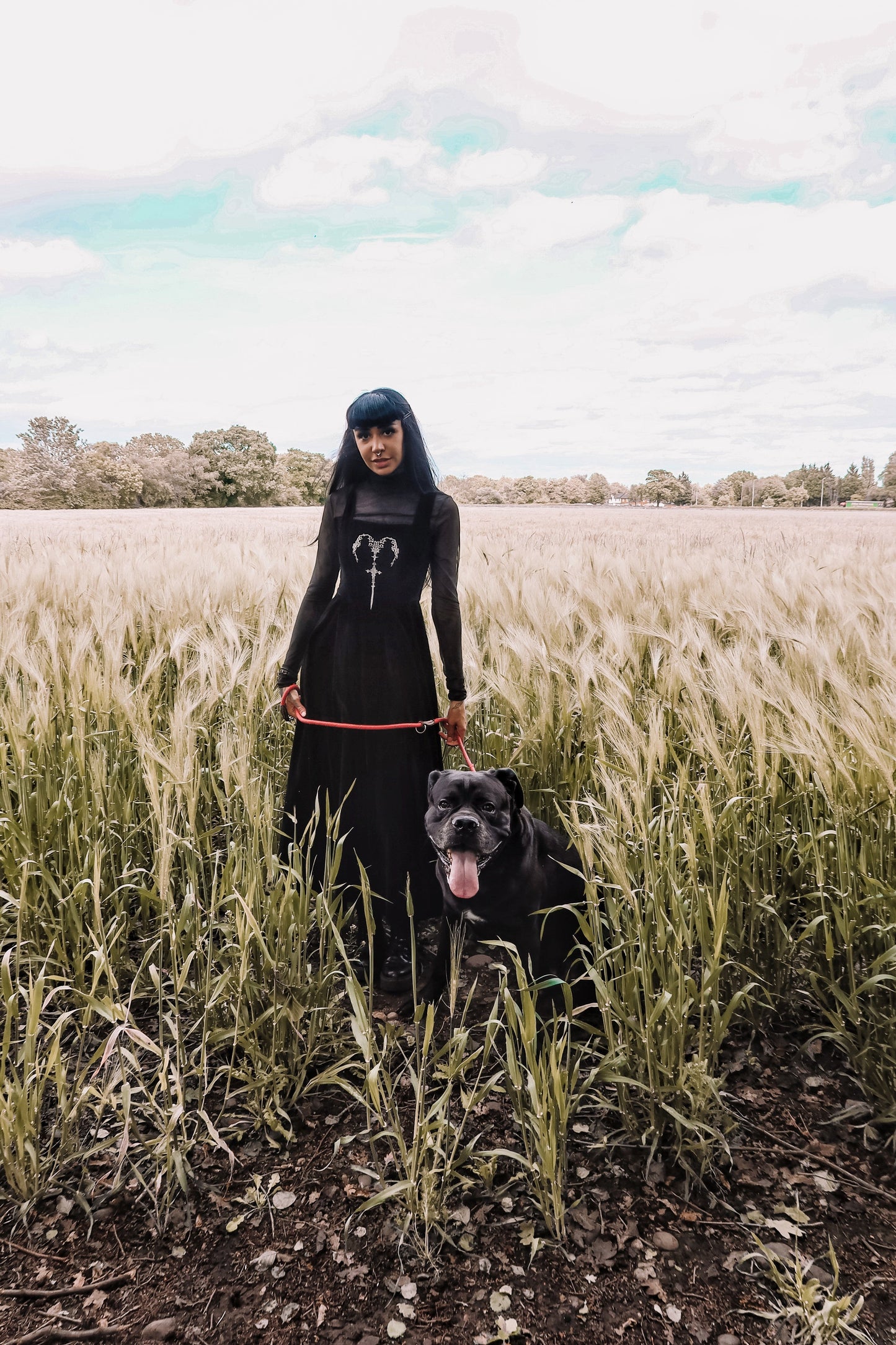 Dark in Love Lux Black Velvet Horn Embroidery Maxi Dress