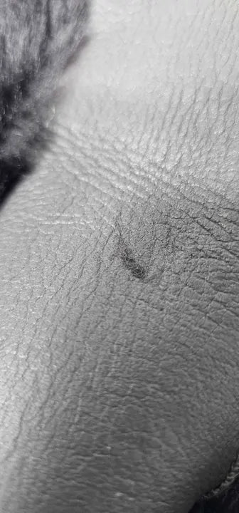 No Eleven - Brown Fingerless Half Fur Mittens - Brown Size: