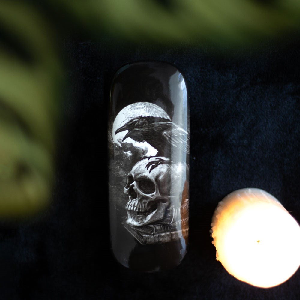 Gothic Gifts Poe's Raven Glasses Case