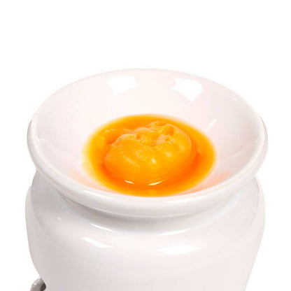 Gothic Gifts Spooky Set of 5 Shaped Wax Melts