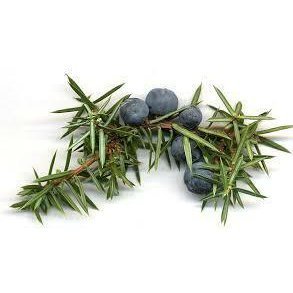 Juniper Berry Essential Oil 10ml– Crisp, piney, and slightly fruity—a cool, resinous forest breeze.