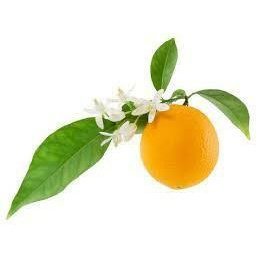 Neroli Orange Blossom 150ml Bath & Massage Oil - Bright, floral, and beautifully uplifting