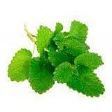 Peppermint Essential Oil 10ml - Cooling Clarity, Instant Refresh