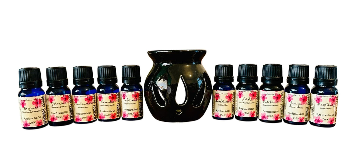 The Comfort Collection Essential Oils for Everyday Emotional Well-Being
