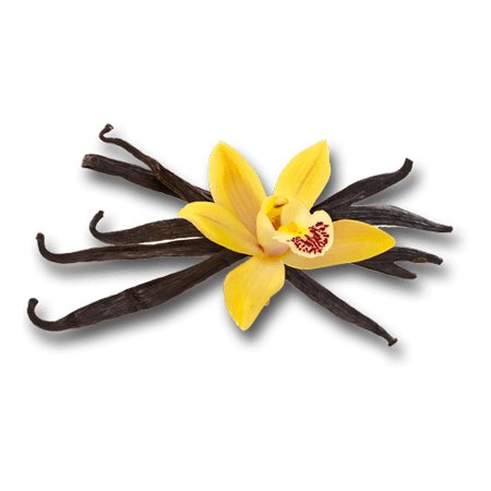 Vanilla Essential Oil 10ml– Sweet, creamy, and comforting—pure indulgence in scent.