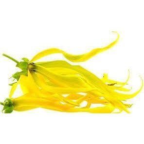 YlangYlang Essential Oil 10ml– Exotic, sweet, and deeply floral—like warm tropical blooms at dusk.
